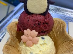 -CORNER CONE GELATO酷矿手作霜淇淋(南头古城店)