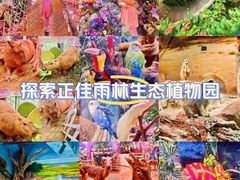 -正佳雨林生态植物园