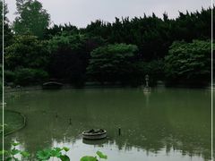 -嘉定紫藤园