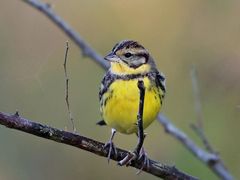 -广州白江湖森林公园