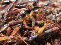 -老渔家白族石板烧旗舰店