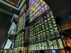 -广东中医药博物馆
