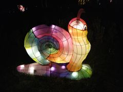 景点-南宫五洲植物乐园