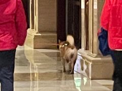 -惠州金海湾嘉华度假酒店