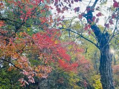 -终南山南五台景区