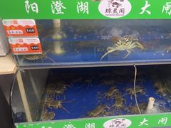 -阳澄湖大闸蟹·琼灵阁牌品牌连锁(吴中总店)