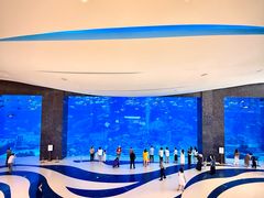 -亚特兰蒂斯-番红花海鲜自助餐厅·鲜活海鲜·小火锅