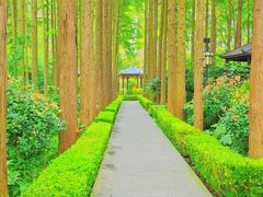 -泗洪洪泽湖湿地景区