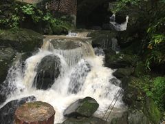 -藏龙百瀑风景区