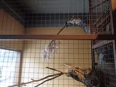 -老阿爸江浙土菜(前进东路店)