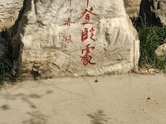 -桃花堤公园