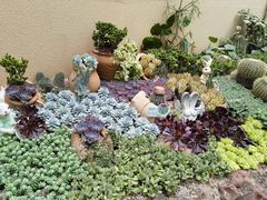 -正佳雨林生态植物园
