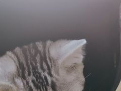 -美联众合24小时·皮肤科·外科·全科诊疗中心(华苑分院)