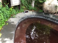 -金石唐风国际温泉会馆