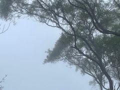 -东部华侨城