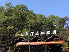 -普洱太阳河森林公园
