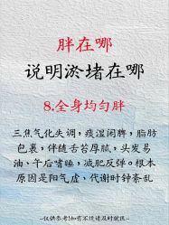 点击看大图 -玛莲朵·海菲秀冰珀科