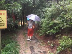 -四明山国家森林公园