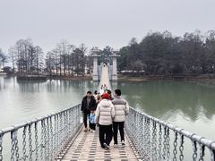 -东湖落雁景区