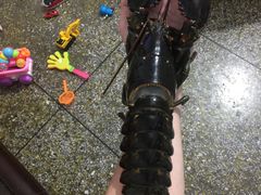 -盒马鲜生(皇庭广场店)