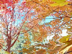 -辽宁大学(崇山校区)