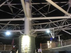 -锦江乐园舞狸花花游园会(夜场专享)