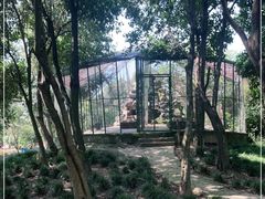 -安徽八里河旅游区