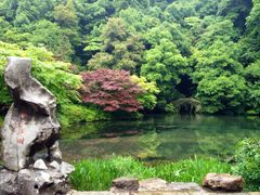 iphone_upload_pic-九溪烟树