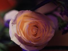 -爱啤精酿·民谣酒馆(滨江店)