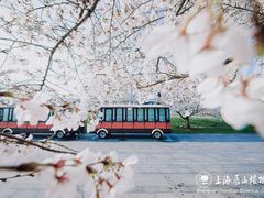 -上海辰山植物园
