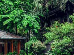 -大妙火锅·非物质文化遗产(东湖公园店)