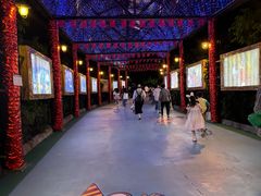 -广州长隆国际大马戏