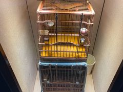 -云洲古玩城(大木桥路店)
