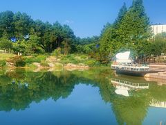 -铁山坪森林公园