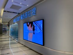 -路堤·普拉提