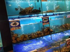 水产区-南海渔家•海鲜•正宗海南菜(海棠湾店)