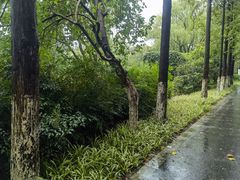 -昆山城市生态森林公园