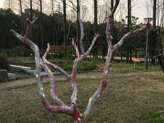 -前小桔亲子创意农场·草莓采摘·露营烧烤