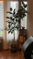 -Y+U遇瑜伽·普拉提