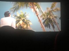 -红星电影世界开元地中海店(RealD杜比全景声)