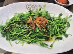 豆苗-松發肉骨茶(牛车水店)