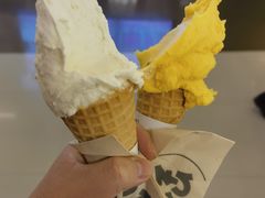 -野人先生现做冰淇淋(北京王府井东方新天地店)