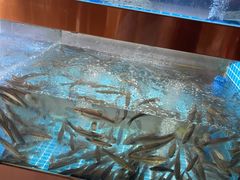 -樽宴酒楼·地道川菜·品质宴请