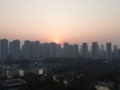-青枫公园