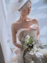 -艾米丽婚纱礼服