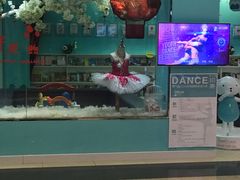 -Isee灰姑娘国际儿童艺术中心(BHGMall店)