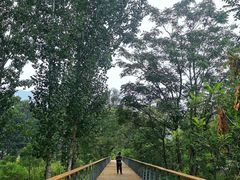 -孤山寨风景区