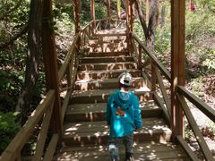 -大岭沟猕猴桃谷风景区