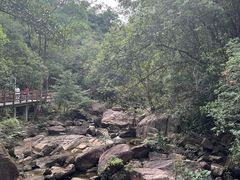 -广州白江湖森林公园