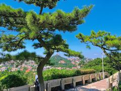 -青岛海滨风景区小鱼山